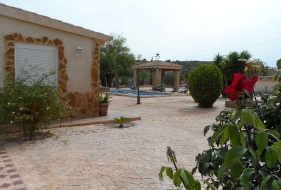 Herverkoop - Finca Landelijk pand -
Elche