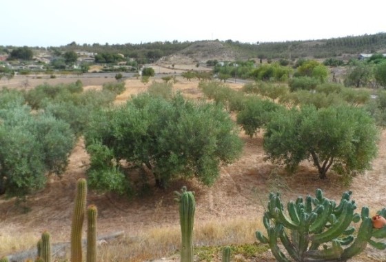 Herverkoop - Finca Landelijk pand -
Elche