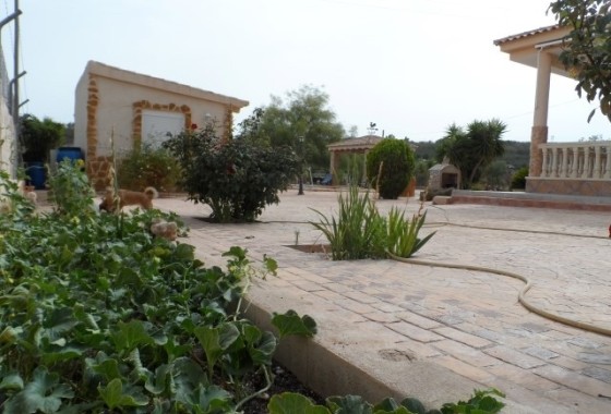 Herverkoop - Finca Landelijk pand -
Elche