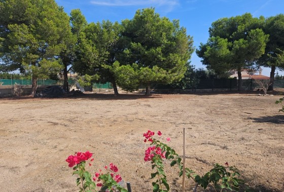 Herverkoop - Finca Landelijk pand -
Elche