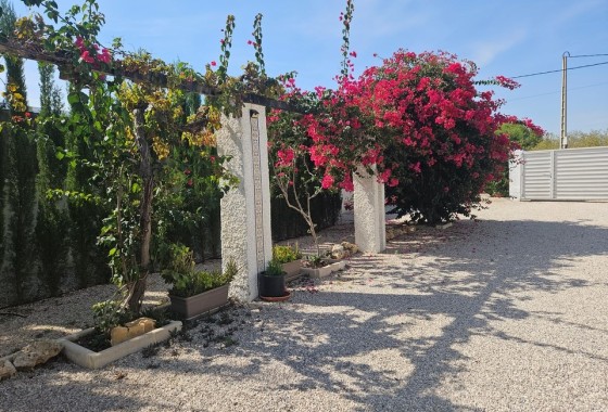 Herverkoop - Finca Landelijk pand -
Elche