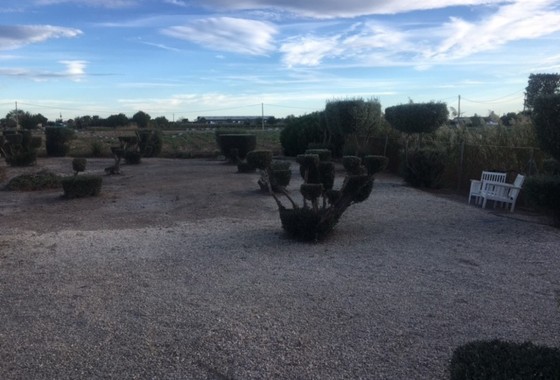 Herverkoop - Finca Landelijk pand -
Dolores