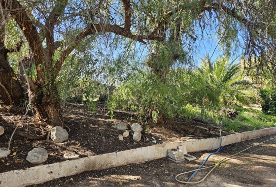 Herverkoop - Finca Landelijk pand -
Novelda