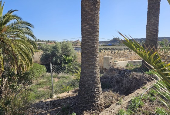 Herverkoop - Finca Landelijk pand -
Novelda