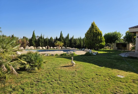 Herverkoop - Finca Landelijk pand -
Novelda