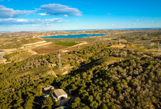 Herverkoop - Finca Landelijk pand -
Torremendo
