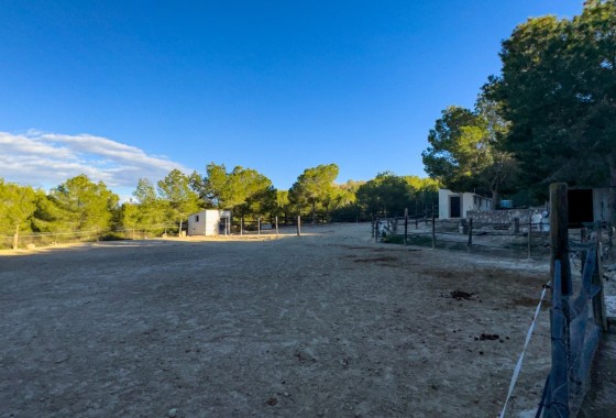 Herverkoop - Finca Landelijk pand -
Torremendo