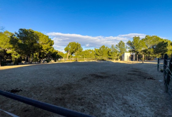 Herverkoop - Finca Landelijk pand -
Torremendo