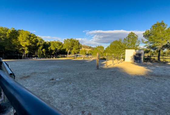 Herverkoop - Finca Landelijk pand -
Torremendo