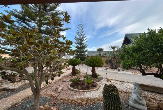 Herverkoop - Finca Landelijk pand -
Catral