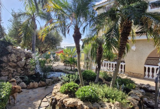 Herverkoop - Finca Landelijk pand -
Elche