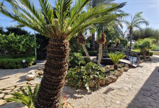 Herverkoop - Finca Landelijk pand -
Elche