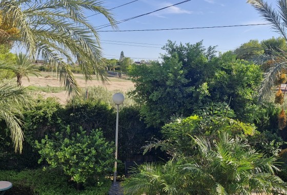 Herverkoop - Finca Landelijk pand -
Elche