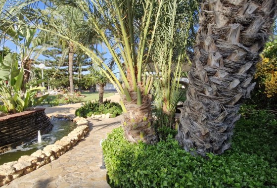 Herverkoop - Finca Landelijk pand -
Elche