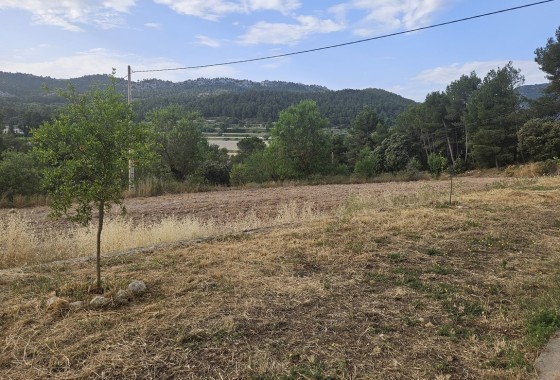 Resale - Finca Landgut -
Alcoy