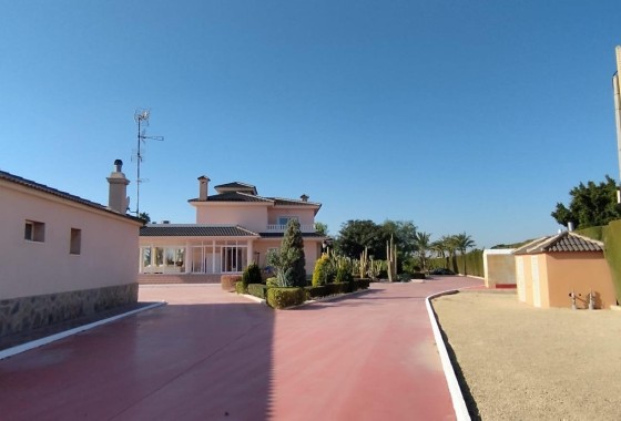 Venta - Finca Propiedad rural -
Elche