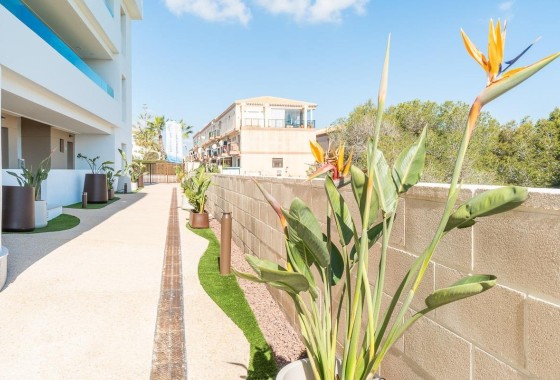 LANGDURIGE VERHUUR - Appartement / Flat -
Orihuela Costa - Playa Flamenca