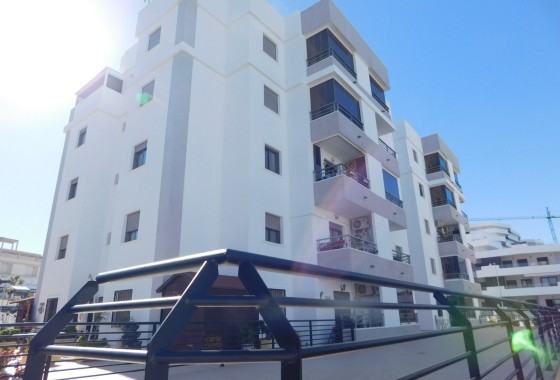 Venta - Apartamento / Piso -
San Miguel de Salinas - San Miguel Salinas