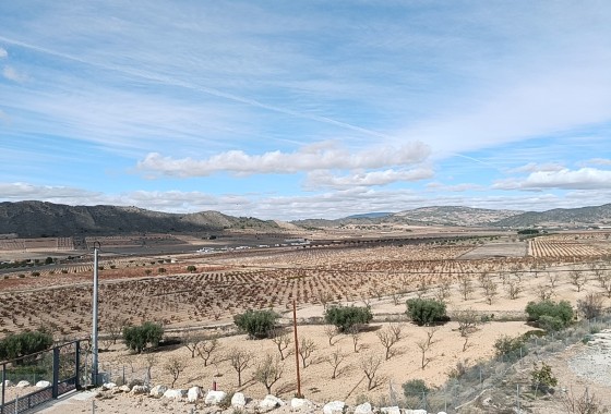 Nowa konstrukcja - Willa wolnostojąca -
Cañada de la Leña