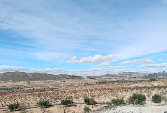 Nowa konstrukcja - Willa wolnostojąca -
Cañada de la Leña