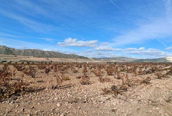 Nowa konstrukcja - Willa wolnostojąca -
Cañada de la Leña