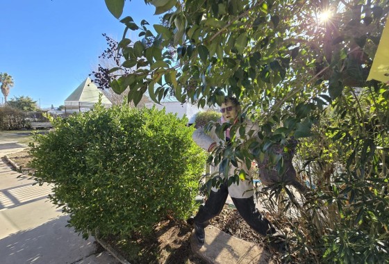 Sprzedaż - Willa wolnostojąca -
Villena