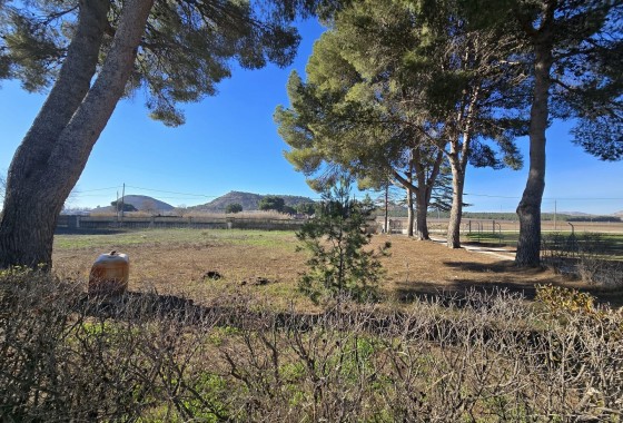 Sprzedaż - Willa wolnostojąca -
Villena