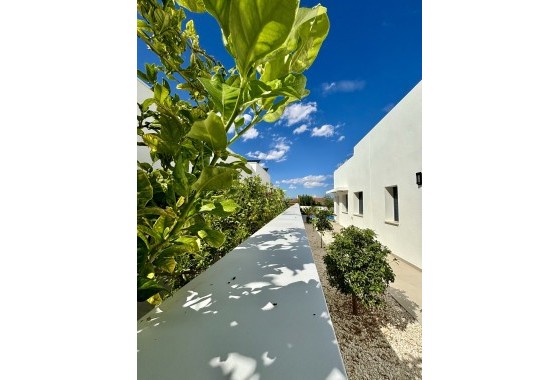 New Build - Detached Villa -
Benijofar