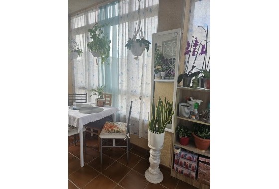 Revente - Finca Propriété rurale -
Torrevieja