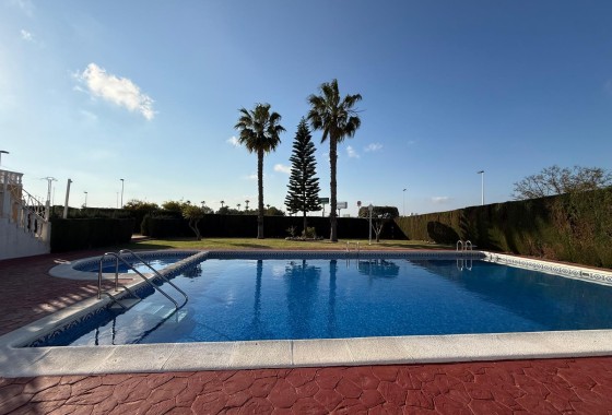 Revente - Finca Propriété rurale -
Torrevieja
