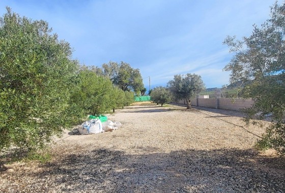 Sale - Finca Country Property -
Monóvar