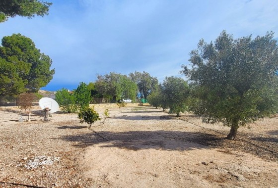 Sale - Finca Country Property -
Monóvar