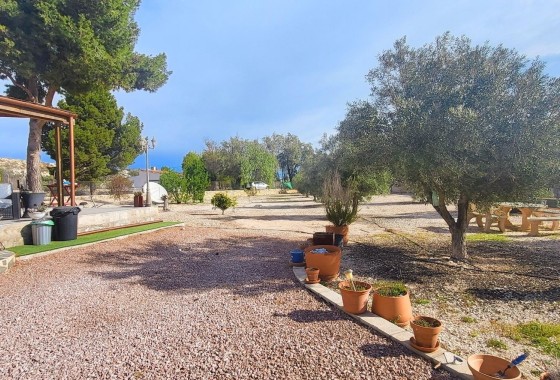 Sale - Finca Country Property -
Monóvar