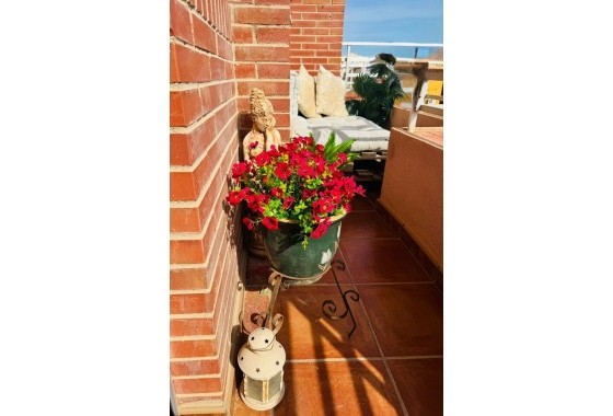 Resale - Wohnung / Appartement -
Algorfa