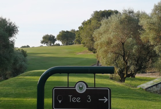 Herverkoop - Appartement / Flat -
La Zenia