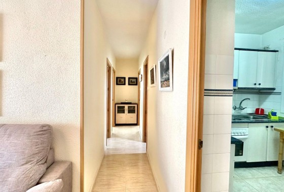 Herverkoop - Appartement / Flat -
Torrevieja - Estacion de autobuses