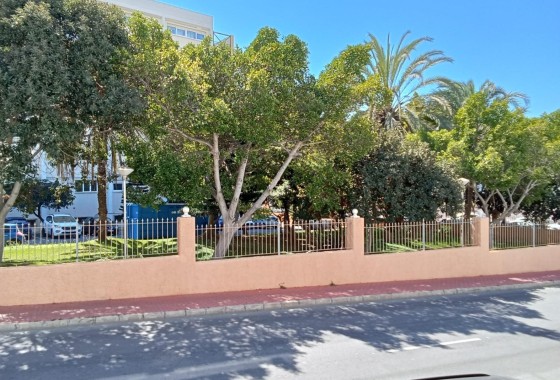 Venta - Apartamento / Piso -
Torrevieja - Estacion de autobuses