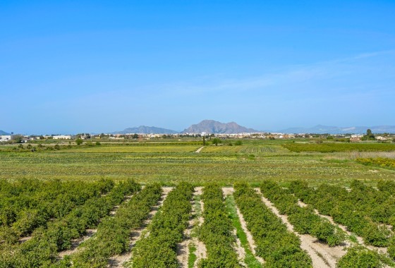 Herverkoop - Appartement / Flat -
Daya Nueva - Costa Blanca South