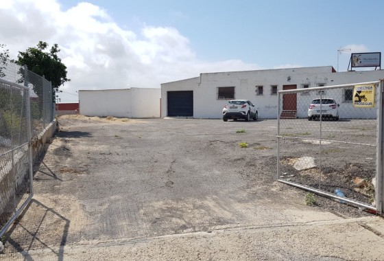 Sale - Finca Country Property -
Los Montesinos - LOS MONTESINOS