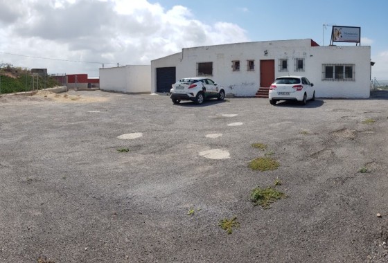 Sale - Finca Country Property -
Los Montesinos - LOS MONTESINOS