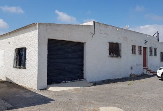 Sale - Finca Country Property -
Los Montesinos - LOS MONTESINOS