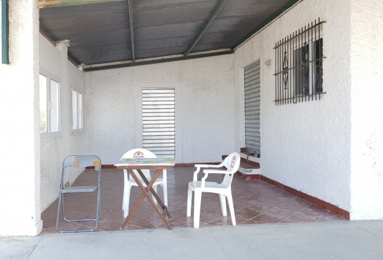 Sale - Finca Country Property -
Los Montesinos - LOS MONTESINOS