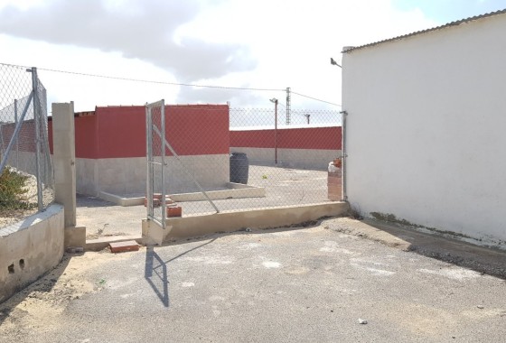 Sale - Finca Country Property -
Los Montesinos - LOS MONTESINOS