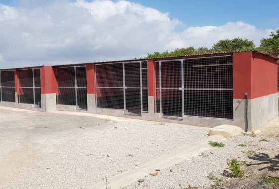 Sale - Finca Country Property -
Los Montesinos - LOS MONTESINOS