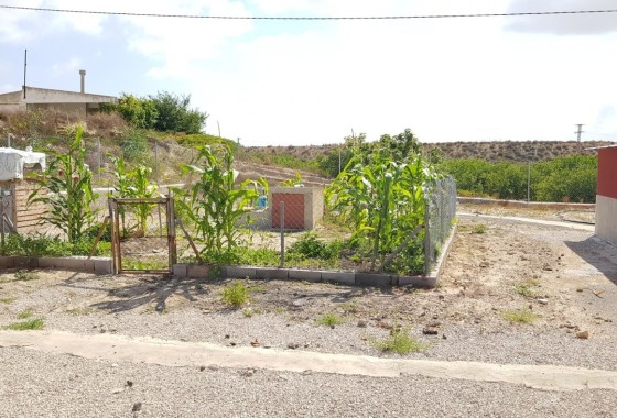 Sale - Finca Country Property -
Los Montesinos - LOS MONTESINOS