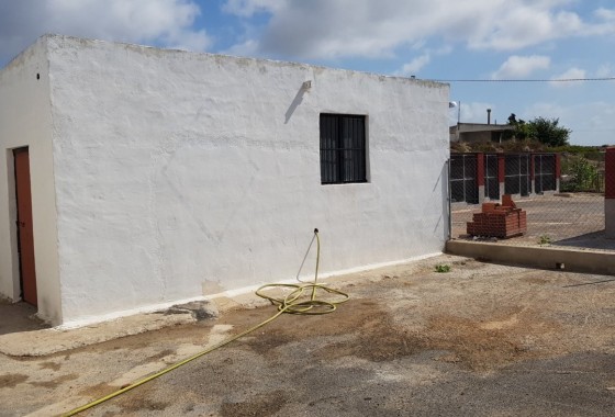 Sale - Finca Country Property -
Los Montesinos - LOS MONTESINOS