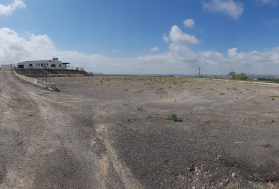 Sale - Finca Country Property -
Los Montesinos - LOS MONTESINOS