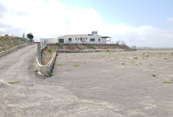 Sale - Finca Country Property -
Los Montesinos - LOS MONTESINOS