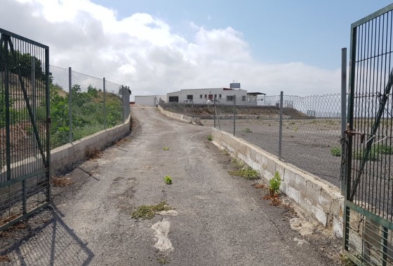 Sale - Finca Country Property -
Los Montesinos - LOS MONTESINOS