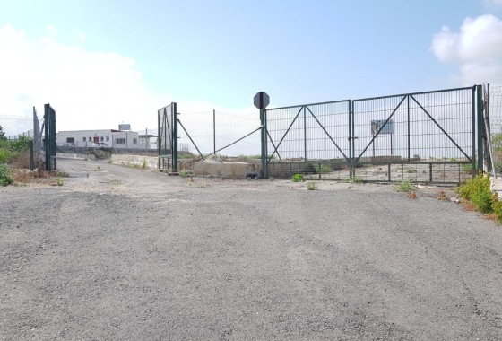 Sale - Finca Country Property -
Los Montesinos - LOS MONTESINOS